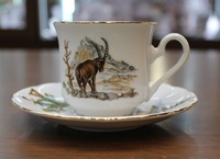 Cup and saucer 150 ml, decor 0363